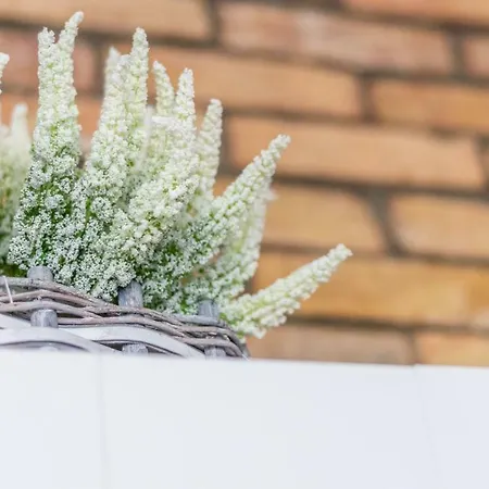 Victus Apartamenty, Victus