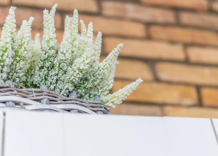 Victus Apartamenty, Victus